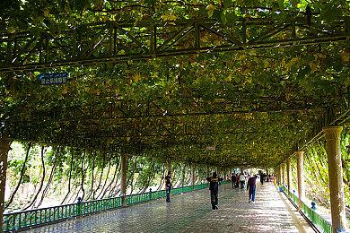 《绝地潜兵2》Steam版销量超1200万 是PS5两倍还多